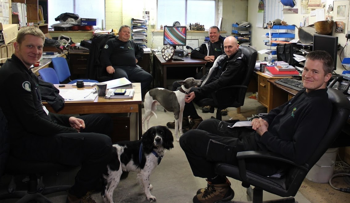 Meet the team